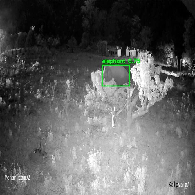 Ai Camera Elephant Detected