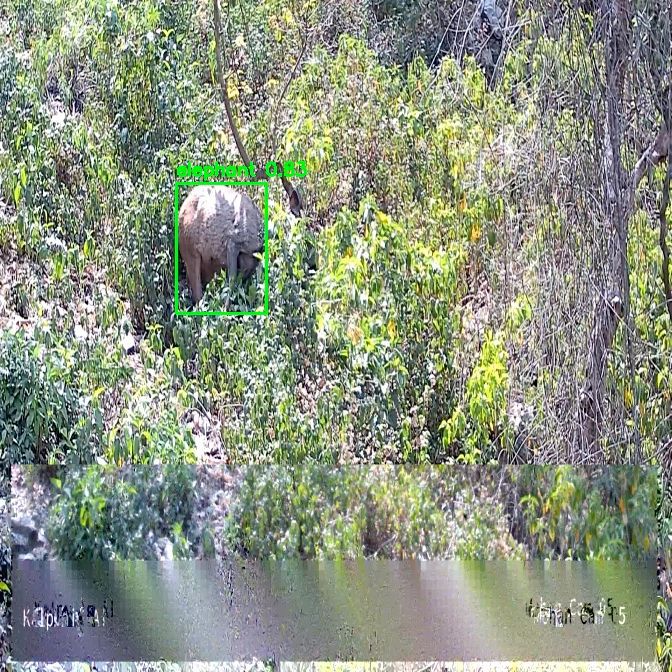 Ai Camera Elephant Detected