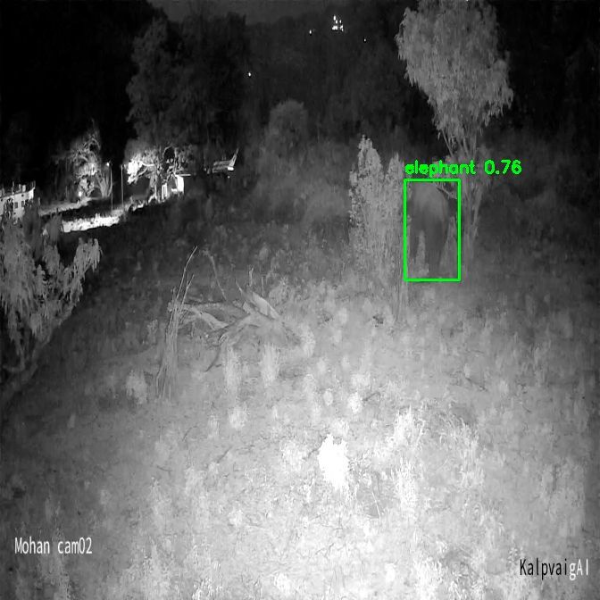 Ai Camera Elephant Detected