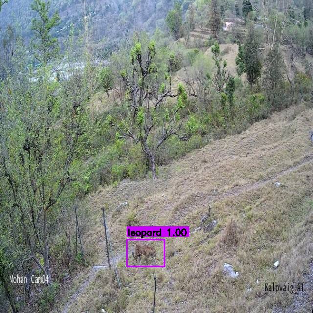 Offline AI camera for Wildlife